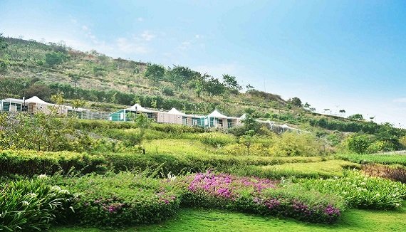 The Sapphire Sunnys World